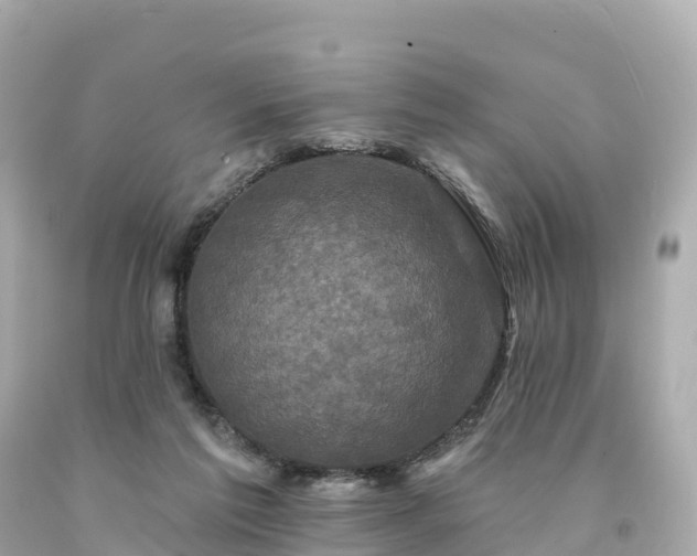 X0000094230213200711021211