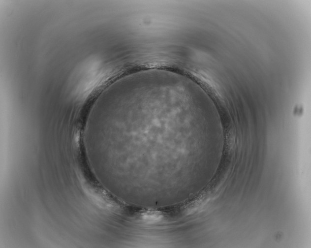 X0000094230214200711021211