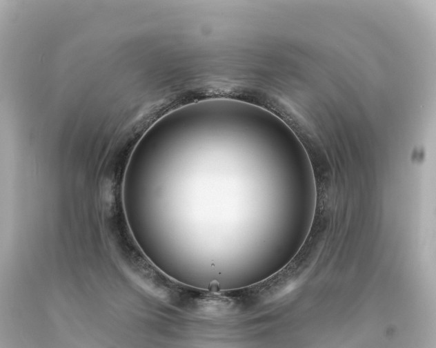 X0000094230215200711021211