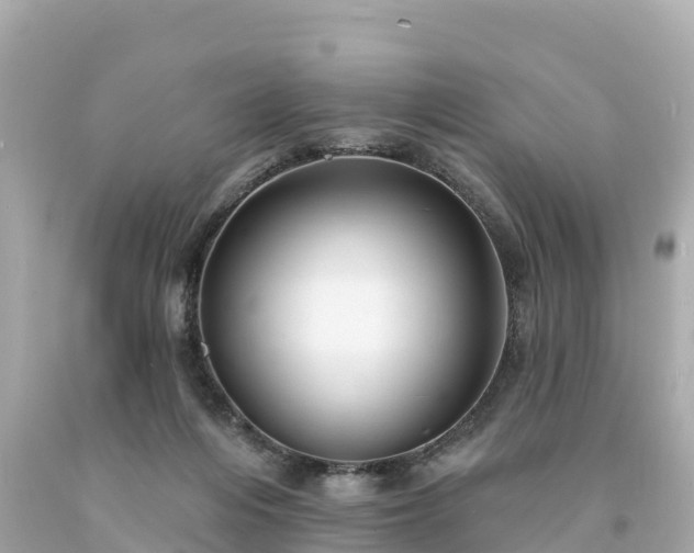 X0000094230216200711021211