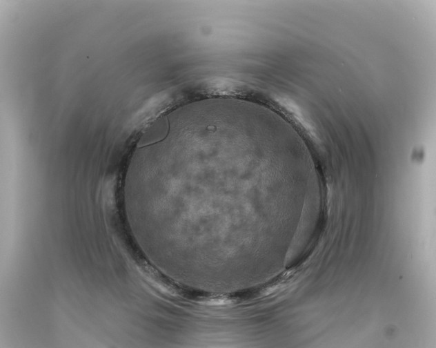 X0000094230217200711021211