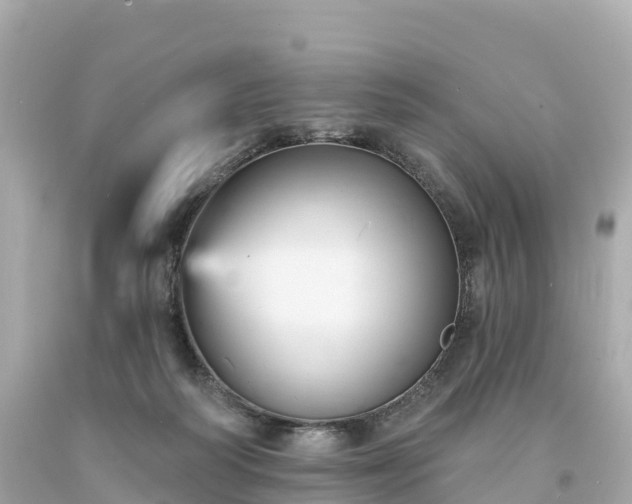 X0000094230218200711021211