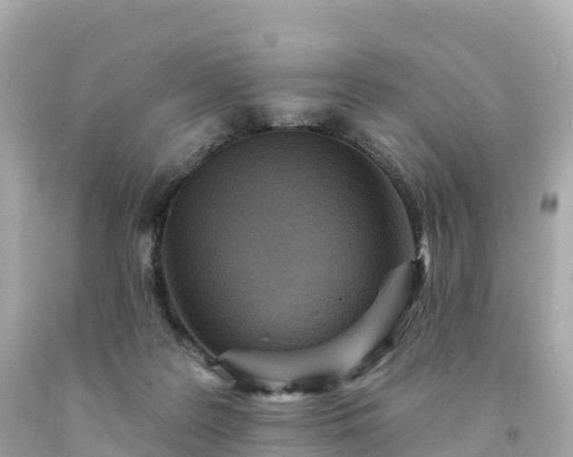 X0000094230219200711021211