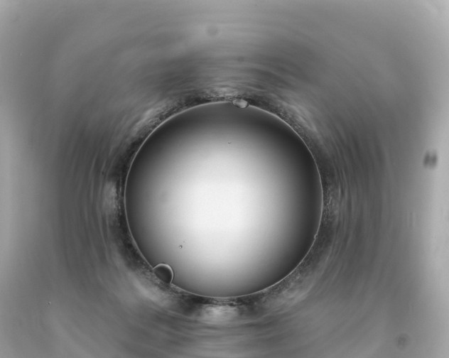 X0000094230220200711021211