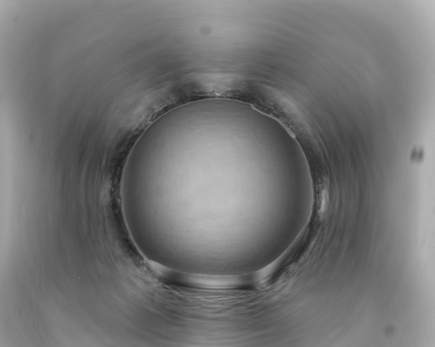 X0000094230221200711021211