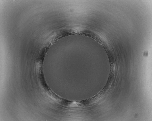 X0000094230222200711021211