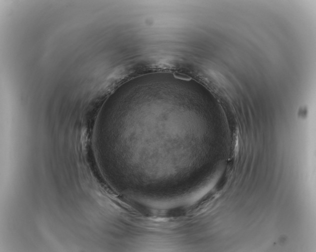 X0000094230223200711021211