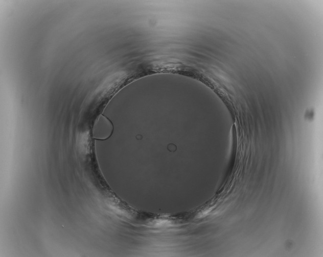 X0000094230224200711021211