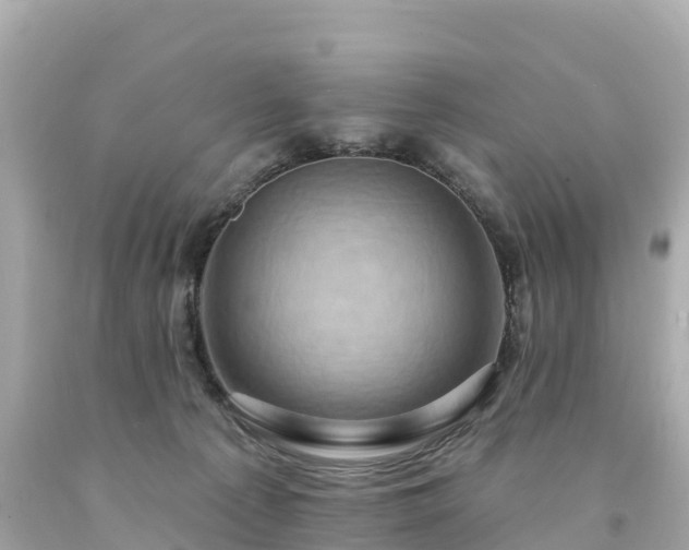 X0000094230225200711021211