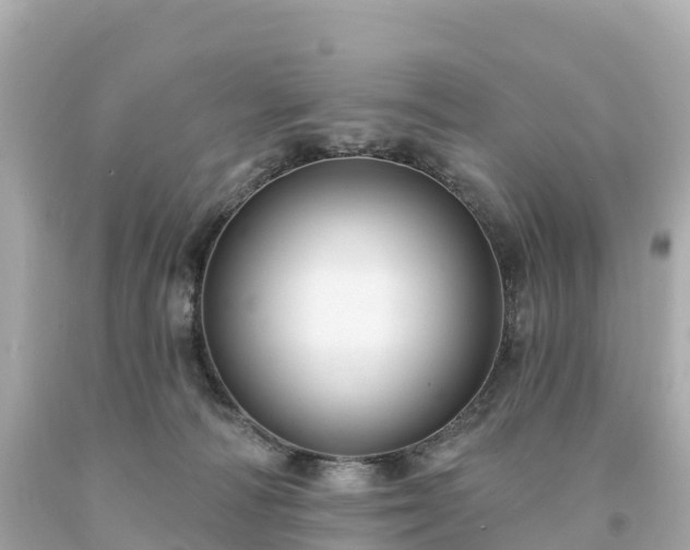 X0000094230226200711021211