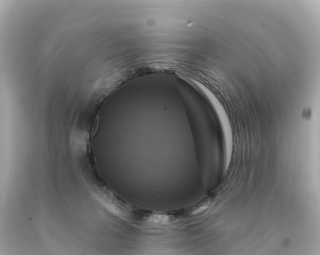 X0000094230227200711021211