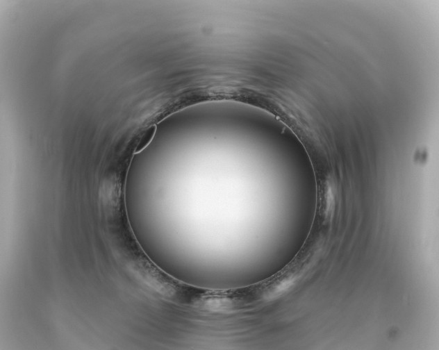 X0000094230228200711021211