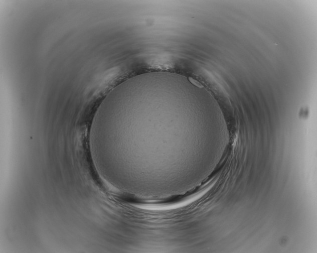 X0000094230229200711021211