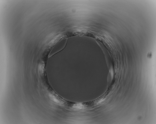 X0000094230231200711021211