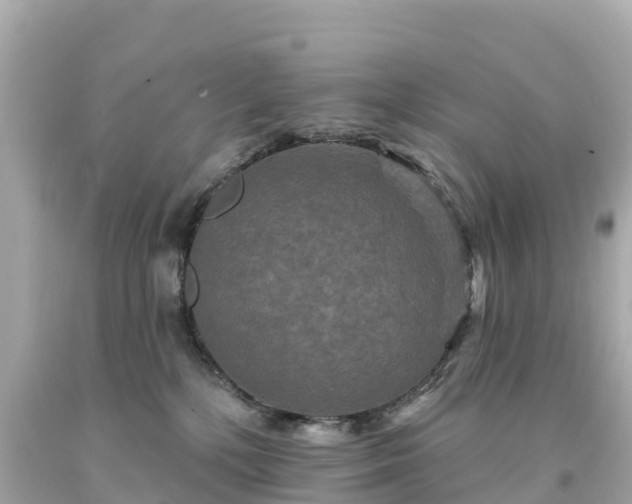 X0000094230232200711021211