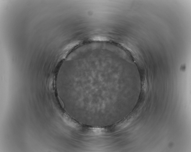 X0000094230233200711021210