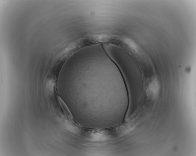 X0000094230235200711021210