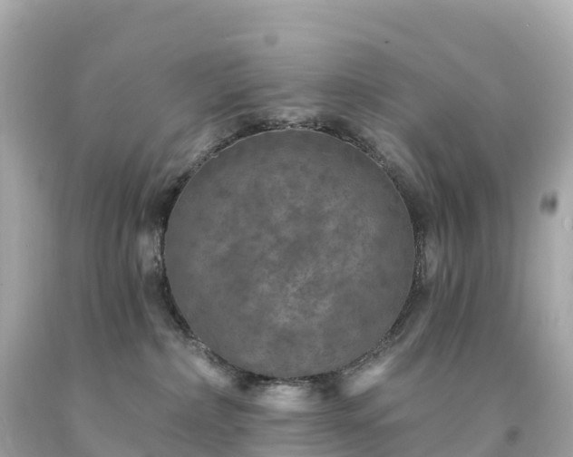 X0000094230236200711021210