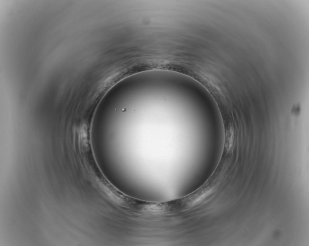 X0000094230238200711021210