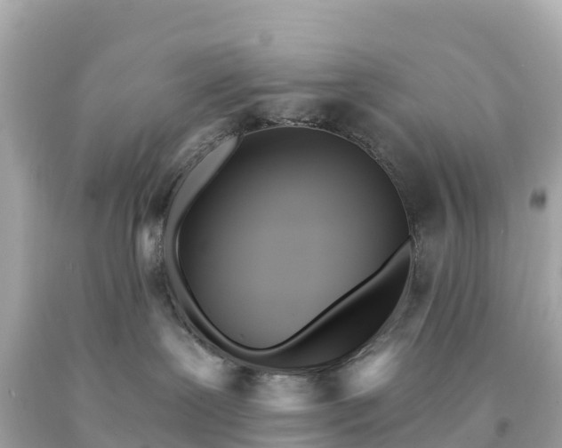 X0000094230239200711021210