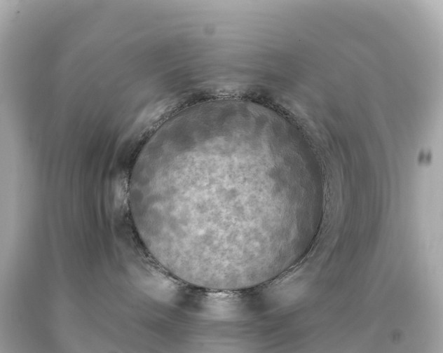 X0000094230240200711021210