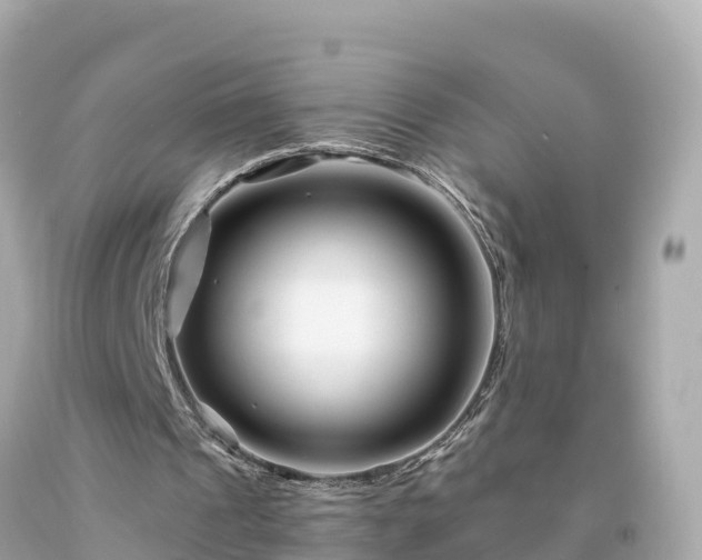 X0000094230241200711021210