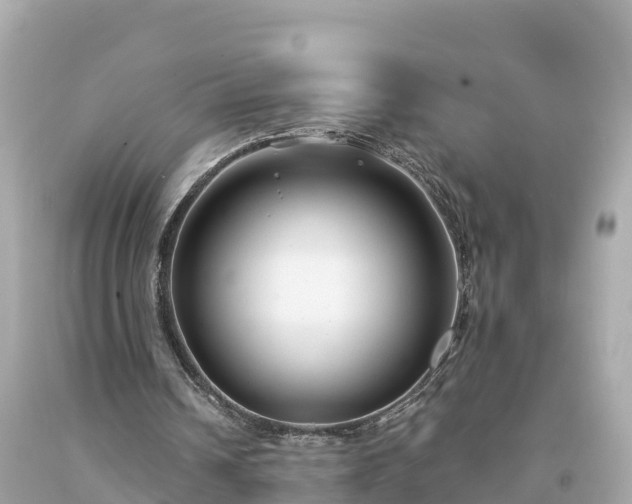 X0000094230242200711021210