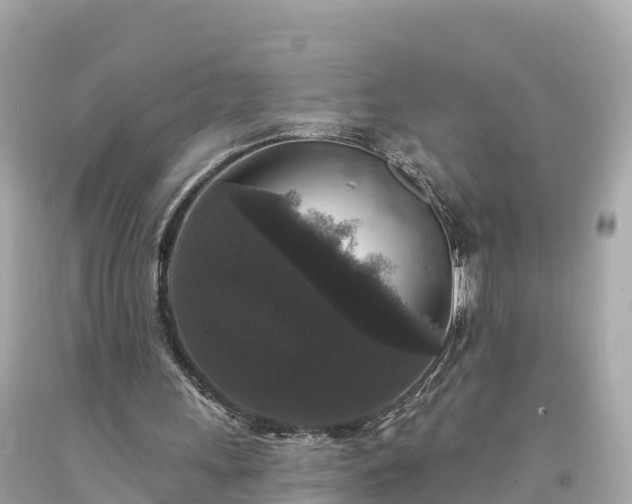 X0000094230243200711021210