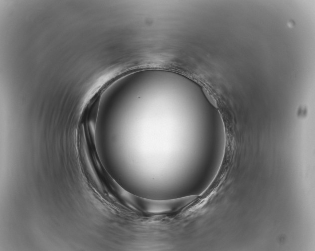 X0000094230244200711021210