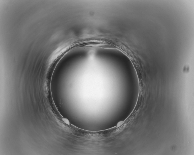 X0000094230245200711021210