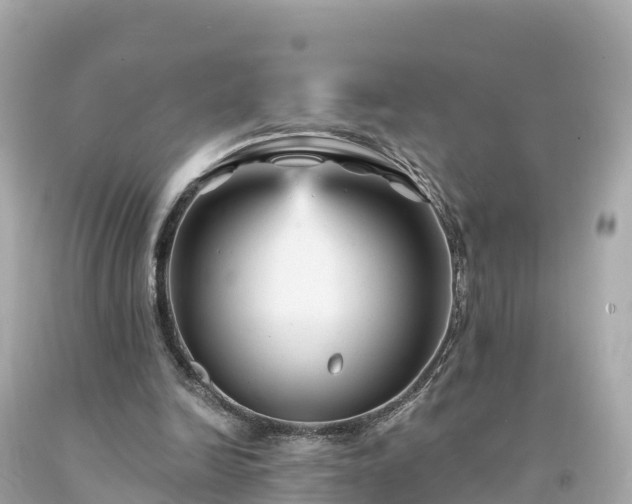 X0000094230246200711021210