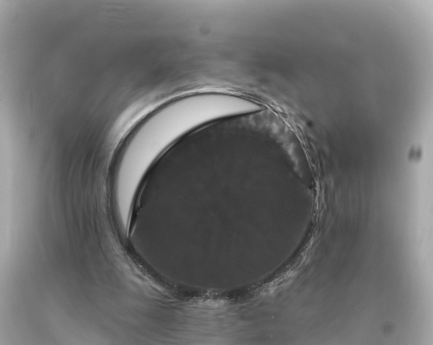 X0000094230247200711021210