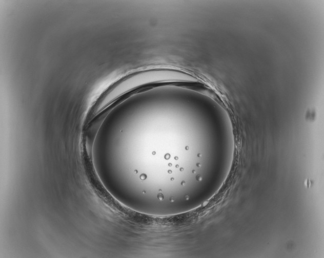 X0000094230248200711021210