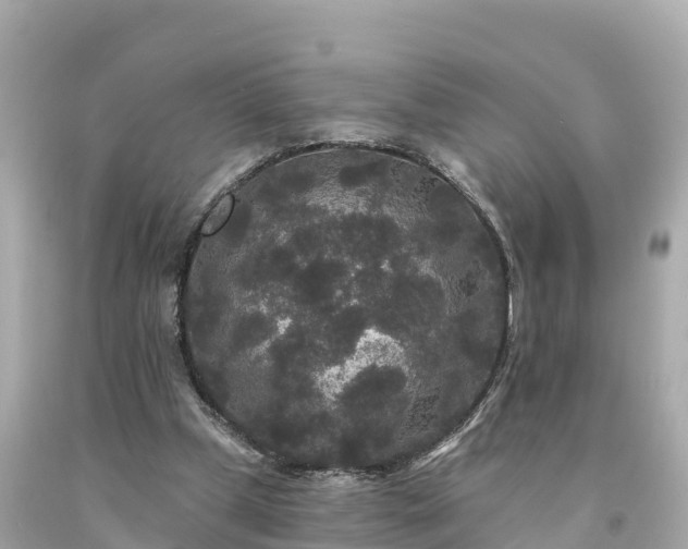 X0000094230249200711021210