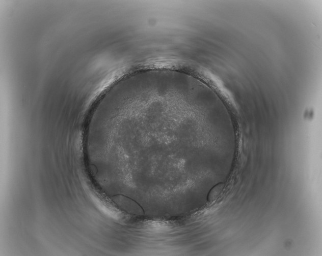 X0000094230250200711021210