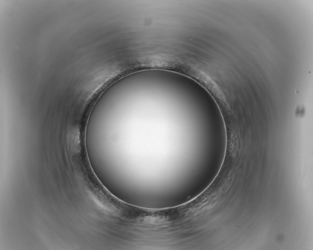 X0000094230251200711021210