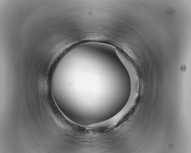 X0000094230252200711021210