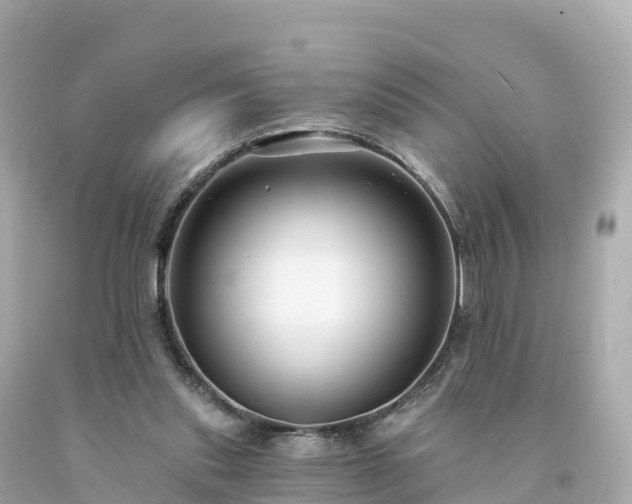 X0000094230253200711021210