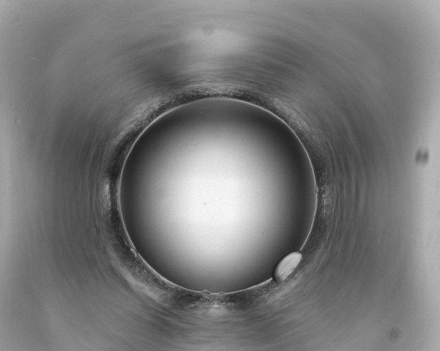 X0000094230254200711021210