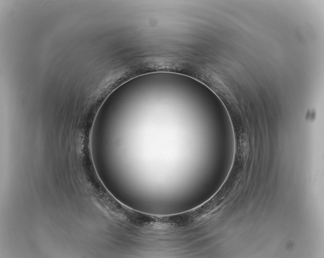 X0000094230255200711021210