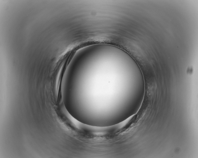 X0000094230256200711021210