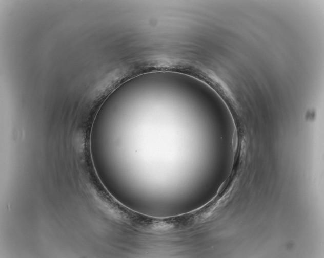 X0000094230257200711021210