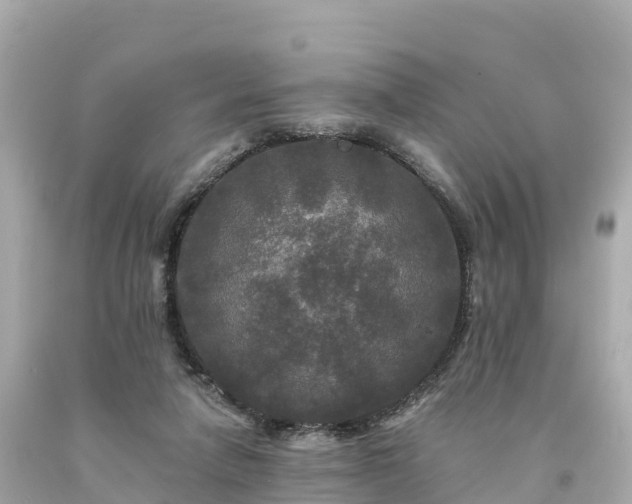 X0000094230258200711021210