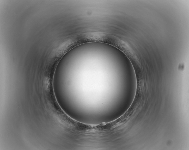 X0000094230259200711021210