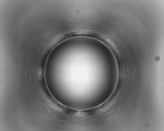 X0000094230261200711021210