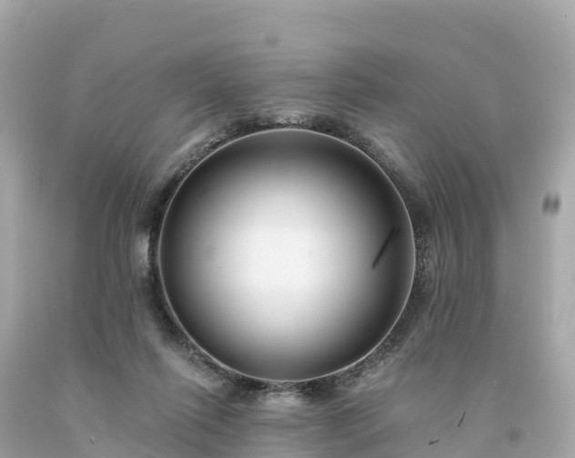 X0000094230262200711021210