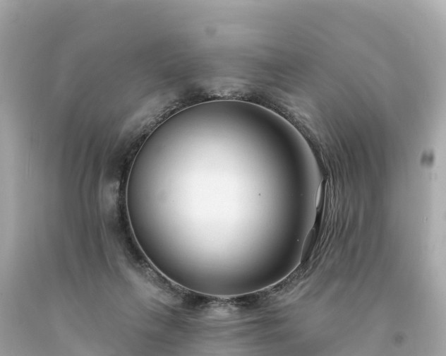 X0000094230263200711021210