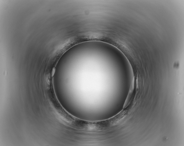 X0000094230264200711021210