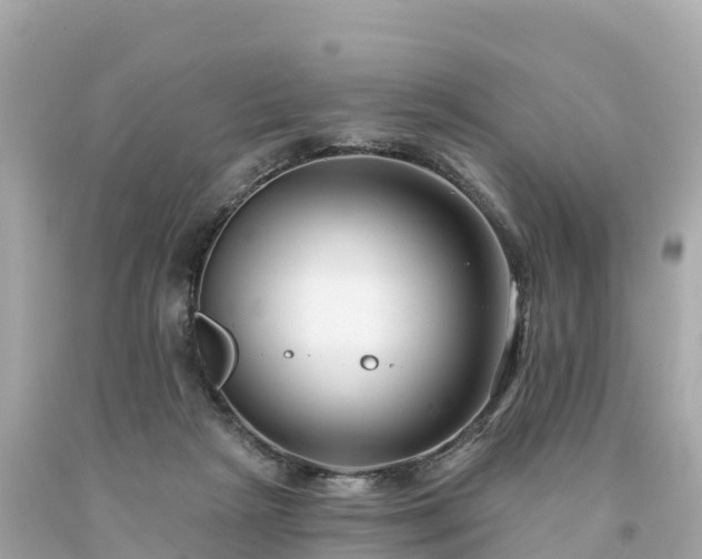 X0000094230265200711021210