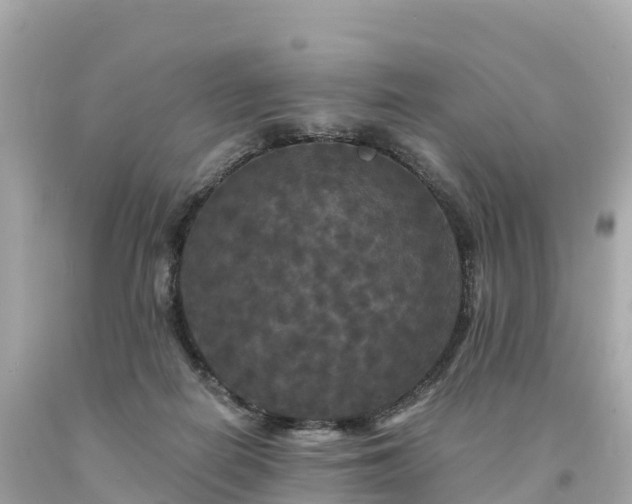 X0000094230266200711021210